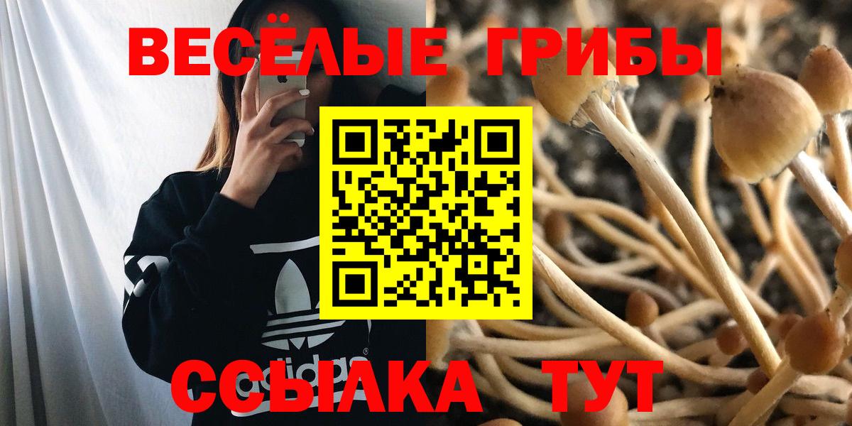 Псилоцибиновые грибы прущие грибы Ижевск